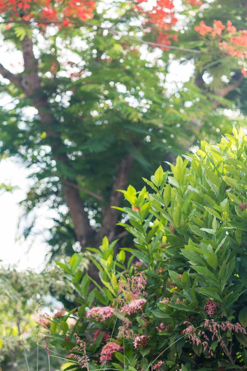 Pousada Solar Tropical Saquarema Bagian luar foto